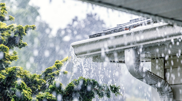 Weather Impacts Roofing in Pinellas County: Tips for Maintenance