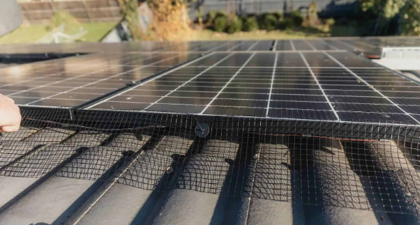 Keeping the Skies Clear: Bird Control in Solar Panels
